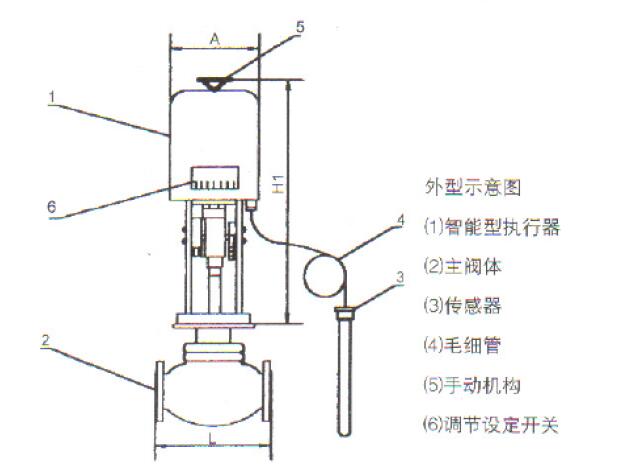 進(jìn)口電動(dòng)溫度調(diào)節(jié)閥結(jié)構(gòu)圖.jpg